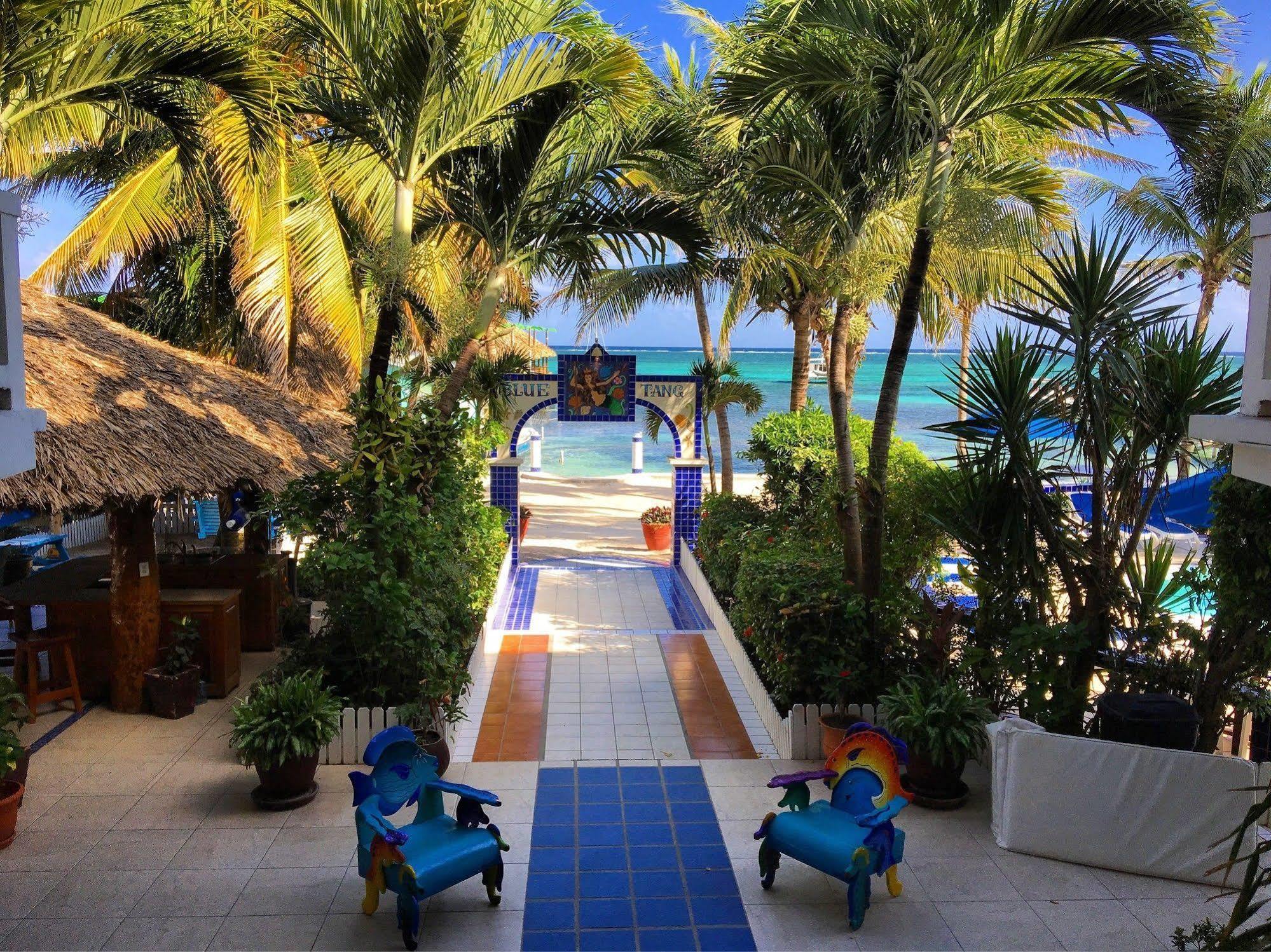 Blue Tang Inn San Pedro (Ambergris Caye) Exterior foto
